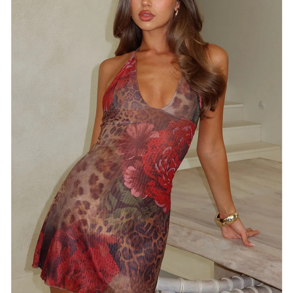 Red and Brown Mini Dress